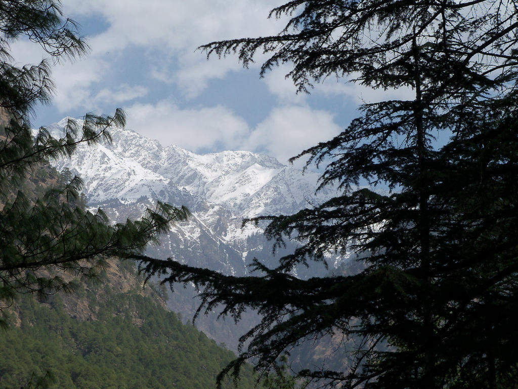 Parvati Kuteer Riverside Resort Kasol Eksteriør bilde