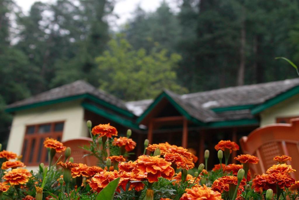 Parvati Kuteer Riverside Resort Kasol Eksteriør bilde