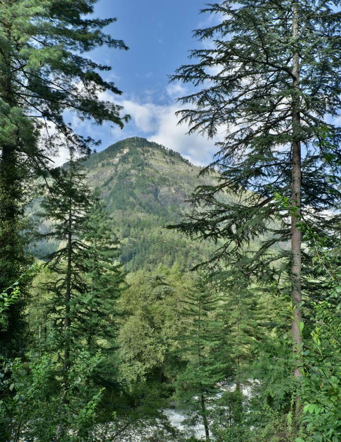 Parvati Kuteer Riverside Resort Kasol Eksteriør bilde